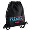 Premier Stage Academy Icon Gymsac
