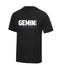 Gemini Acro Adult Cool T-Shirt