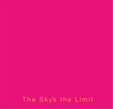 Skyline Gymnastics Kids Cool Tee