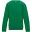 Kids Sweatshirt - Kelly Green