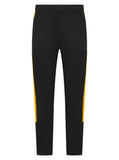 Adults Tracksuit Bottoms - Black/Gold