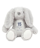 Sophie Gallie Dance Academy 15 Grey Bunny