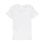 Adult T-Shirt - White
