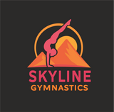 Skyline Gymnastics Kids Fleece