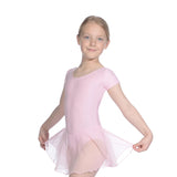 Roch Valley Cap Sleeved Leotard with Attached Georgette Skirt - Pink