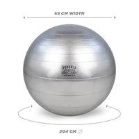 Silver Fitness Ball With Pump