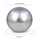 Silver Fitness Ball With Pump