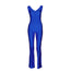 Jiggy Pinched Front Catsuit - Royal