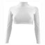 Wizzo Crop Top - White