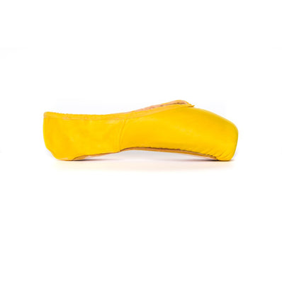 Pointe Paint Sunshine