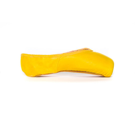 Pointe Paint Sunshine