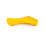 Pointe Paint Sunshine