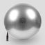 Silver Fitness Ball With Pump